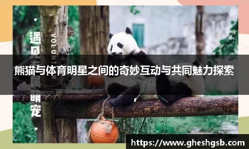 HB火博·体育